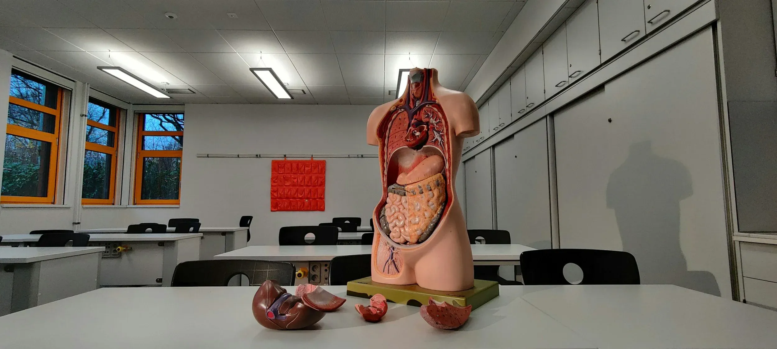  Everything You Ever Wanted to Know About Body Donation - @goodgriefreliefco 