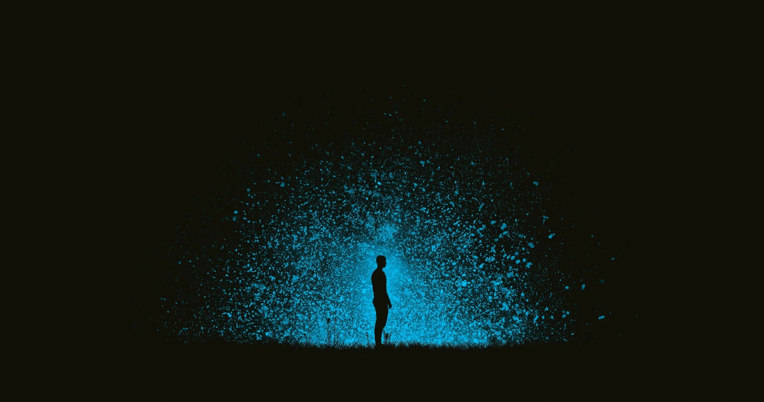  Digital echo 