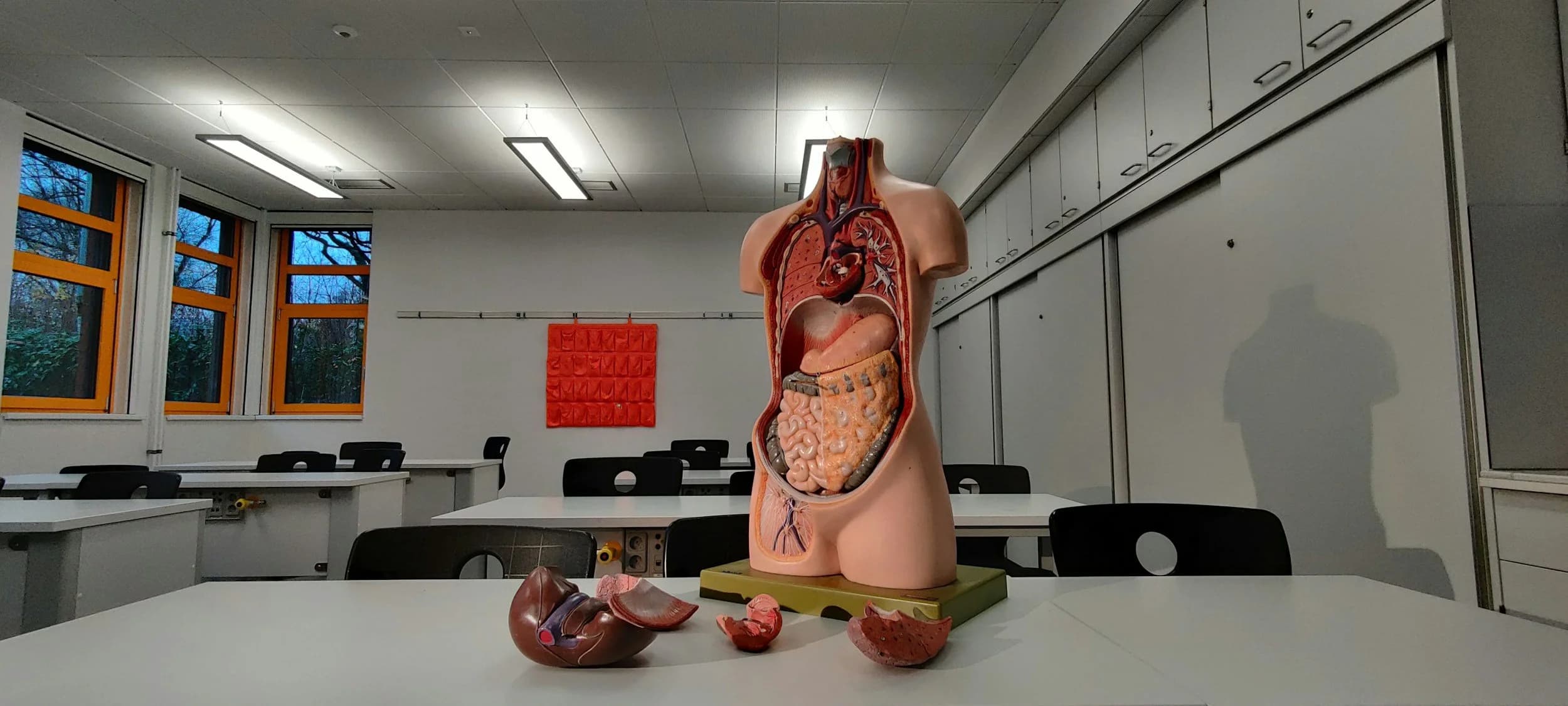  Everything You Ever Wanted to Know About Body Donation - @goodgriefreliefco 